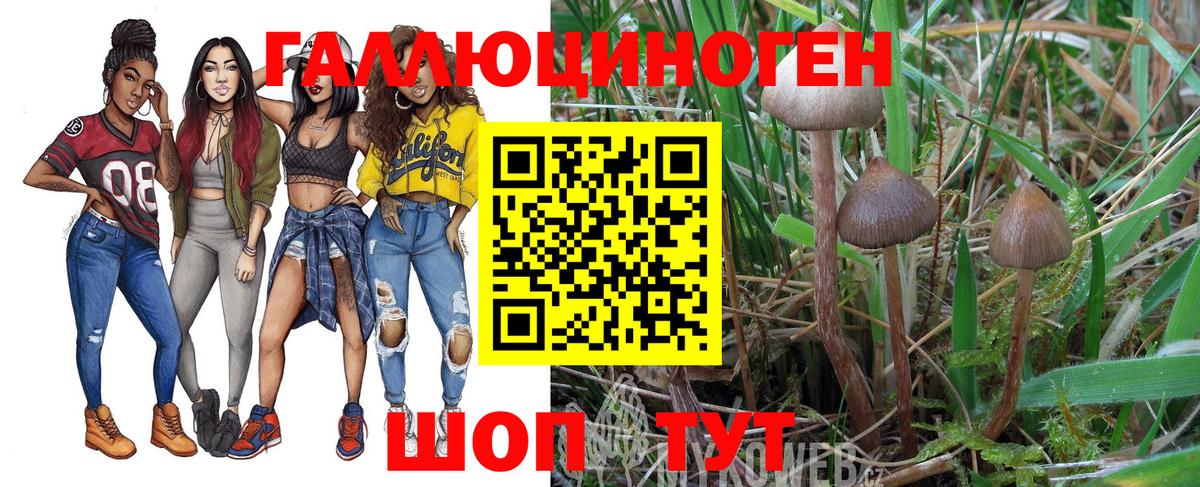 Галлюциногенные грибы прущие грибы  Вход с VPN  Псилоцибиновые грибы мухоморы  купить наркотик  Полысаево 